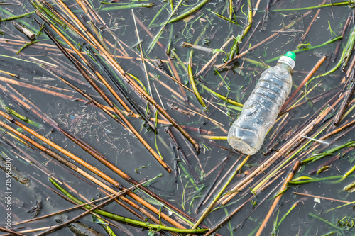 Obraz na plátně Plastic bottle in stagnant water of the lake