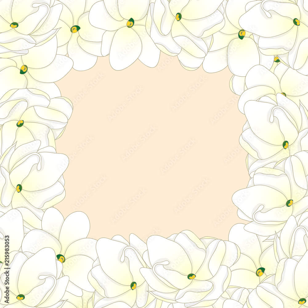 Arabian Jasmine Border