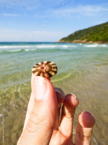 Hand holding a colorful seashell at Brava beach, in Florianopolis - Brazil