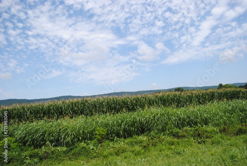 Country Ride 2