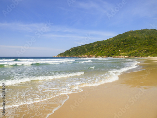 Fototapeta Naklejka Na Ścianę i Meble -  A view of Brava beach, located in the north of Florianopolis island - Brazil