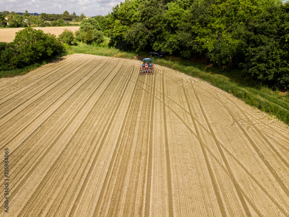 Fototapeta premium Semis du tournesol vu par drone