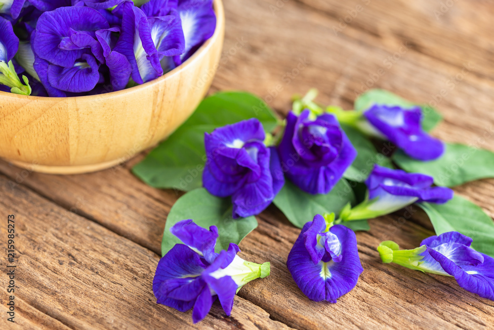 Fresh purple Butterfly pea flower on wooden table Fresh purple Butterfly pea flower on wooden table