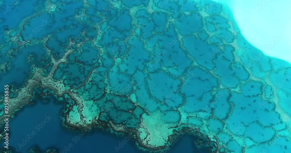 coral in aerial view in the pacific coral in aerial view in the pacific
