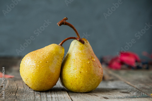 Autumn harvest concept -a couple of Fresh ripe organic yellow pears with water drops on rustic wooden table, dark stone background. Vegetarian, vegan, healthy diet food. Selective focus