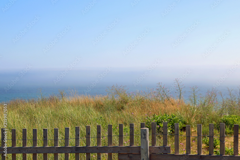 Ocean landscape with field and fence