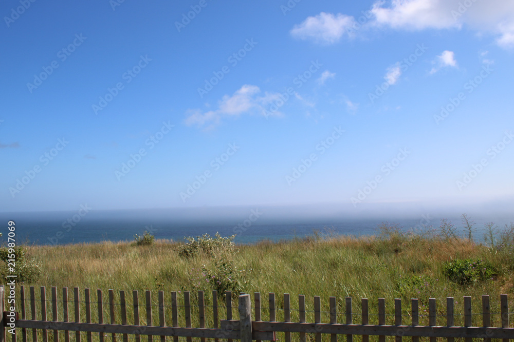 Ocean landscape with fence and field in the foreground