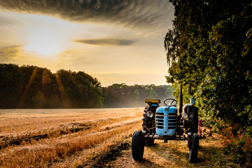 Acrylglasbilder Traktor Alter Traktor im Feld bei Sommermorgen  © Fabrique Imagique