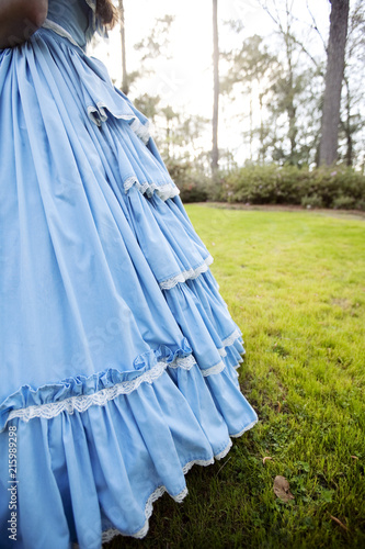 Blue Belle Dress Detail