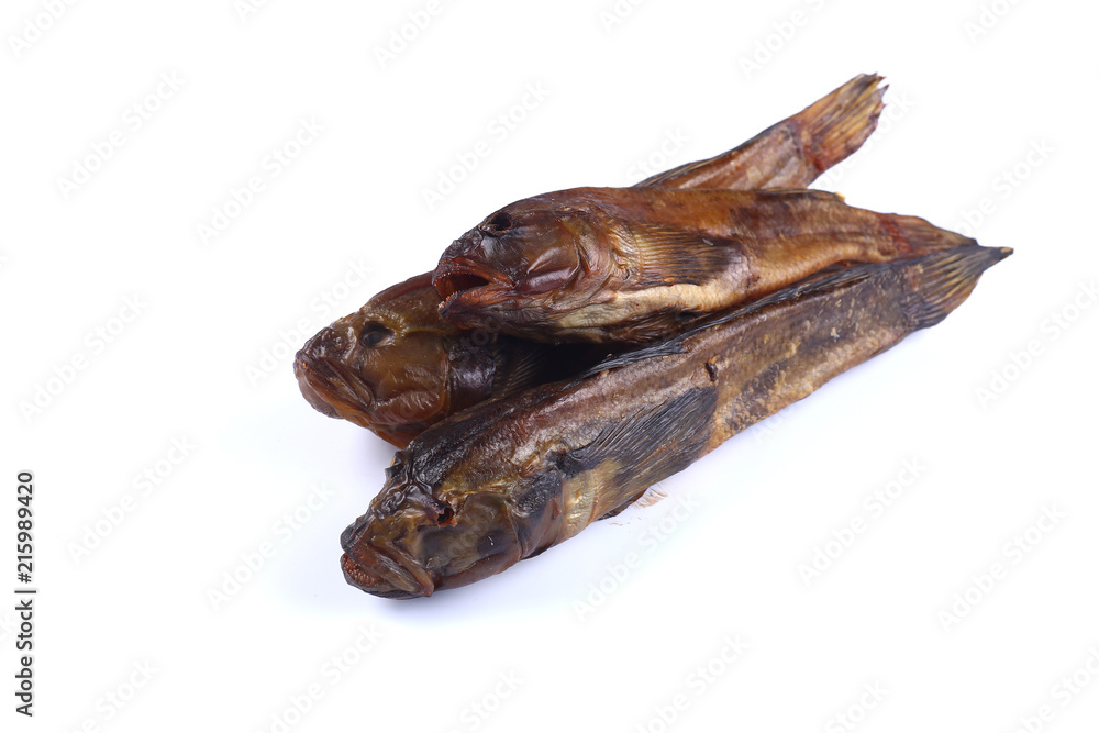 Three Marine Goby on a white background (isolated) Three Marine Goby on a white background (isolated)