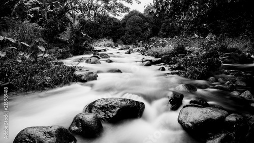 National Park,beautiful deep forest waterfall in Thailand.(black and white)