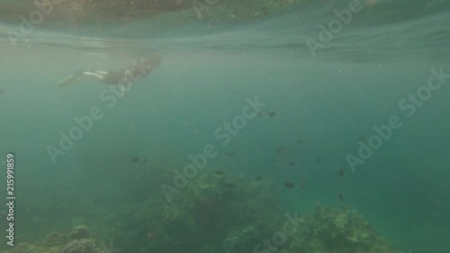 Wallpaper Mural A man floats on the surface while snorkeling over a coral reef with small fish swimming nearby. Cloudy water creates a moody scene.Slow motion footage. Torontodigital.ca