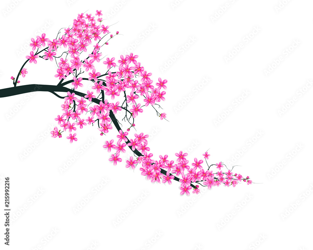 Watercolor sakura frame. Background with blossom cherry tree branches. Hand drawn japanese flowers background Watercolor sakura frame. Background with blossom cherry tree branches. Hand drawn japanese flowers background