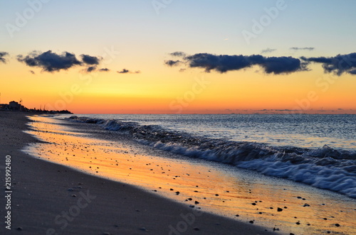 Shells in the sand on the beach at sunset time