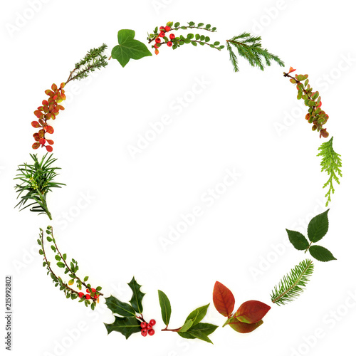 Winter and Christmas minimalist wreath garland with natural leaf sprigs, berries and plants on white background. Traditional christmas greeting card for the festive season.