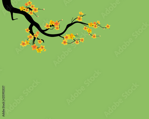 Watercolor sakura frame. Background with blossom cherry tree branches. Hand drawn japanese flowers background