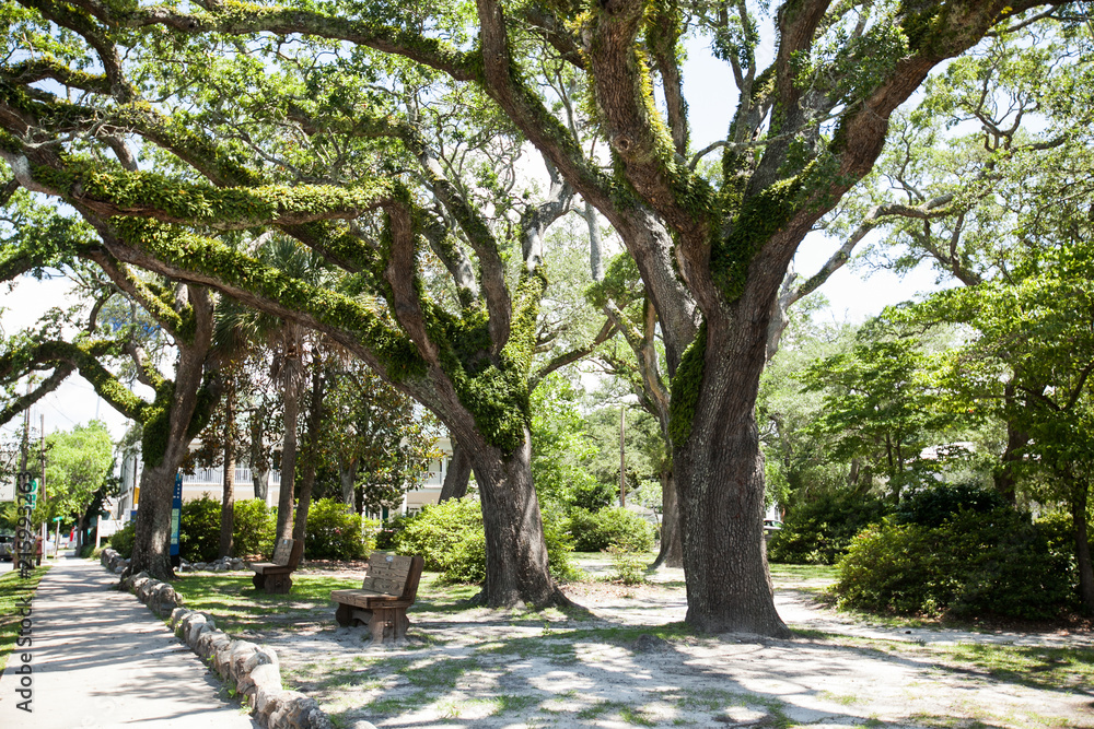 Park Park