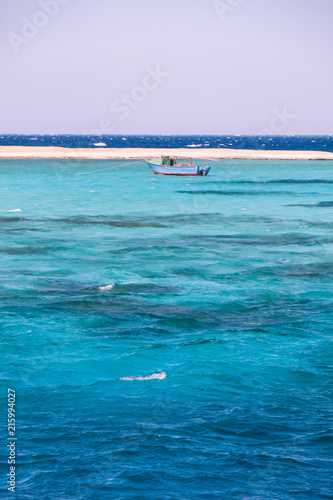Turquoise Blue Water in Egyptian Red Sea Reefs © Angelina Cecchetto