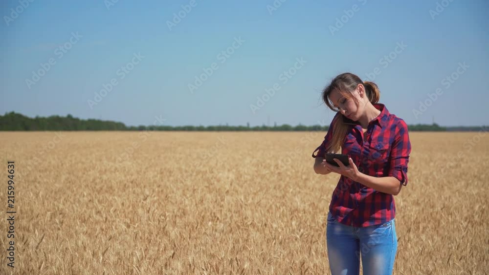 Near field with grain agronomist with tablet in her hands talking on mobile phone Near field with grain agronomist with tablet in her hands talking on mobile phone