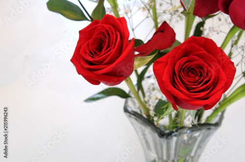 High Key Rose In Vase Shot