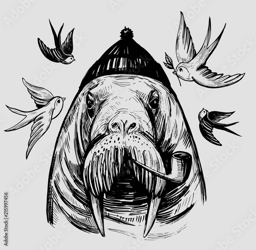 Walrus with swallow. Hand drawn ink  illustration for print or tattoo