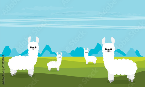 Cute cartoon alpaca flat vector