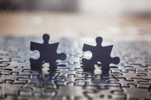 two puzzle pieces stand out from the crowd. business concept