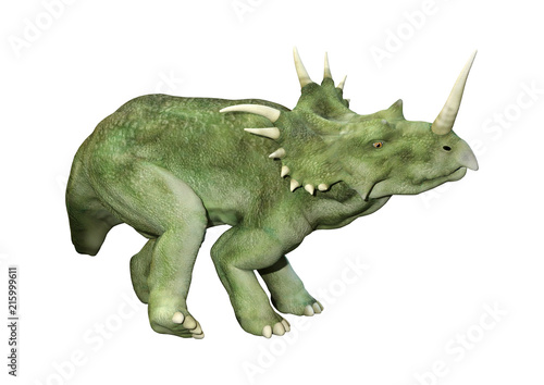 3D Rendering Dinosaur Styracosaurus  on White