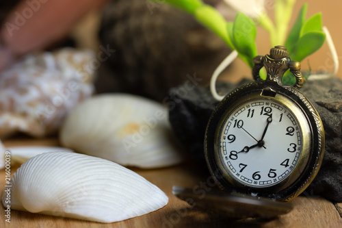 Tableau sur toile Vintage pocket watch and shell on wood background