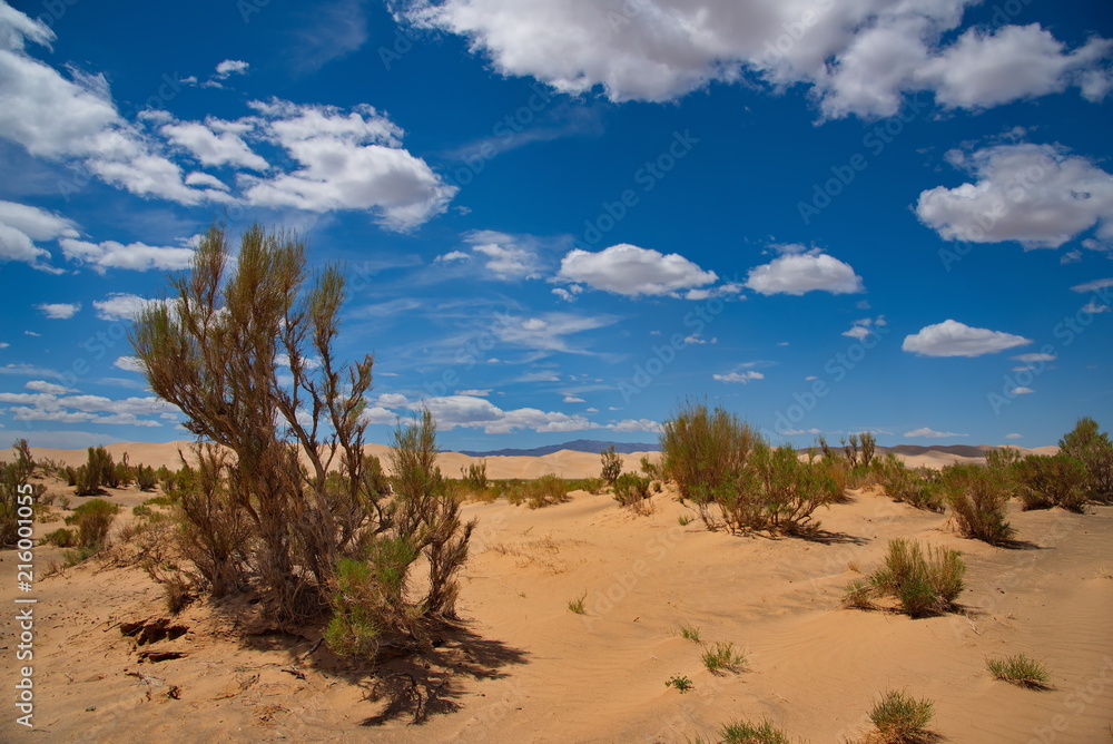 Mongolia. The famous sand dunes of Hongoryn-Els are located in the North-East of the Gobi desert. Length of 120 km with a width of 3-5 km dunes reach a height of 300 m. Mongolia. The famous sand dunes of Hongoryn-Els are located in the North-East of the Gobi desert. Length of 120 km with a width of 3-5 km dunes reach a height of 300 m.