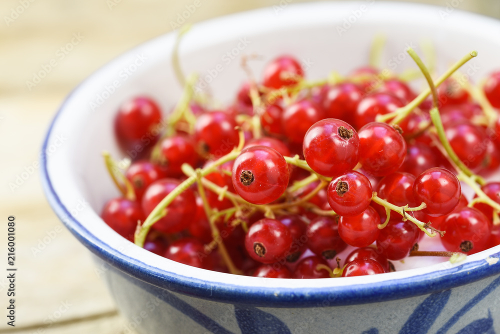 fresh harvested red currant berries in a bowl, close up shot fresh harvested red currant berries in a bowl, close up shot