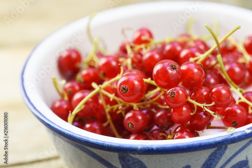 fresh harvested red currant berries in a bowl, close up shot