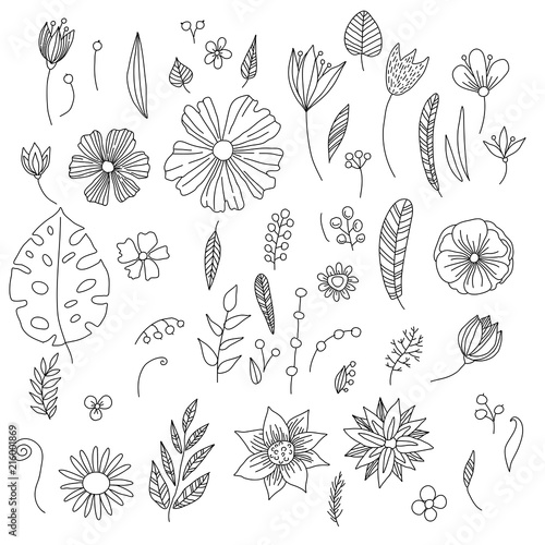 Vector collection of hand drawn anemone flowers, buds and leaves in sketch style isolated on white background. Beautiful floral elements for spring design or coloring book.