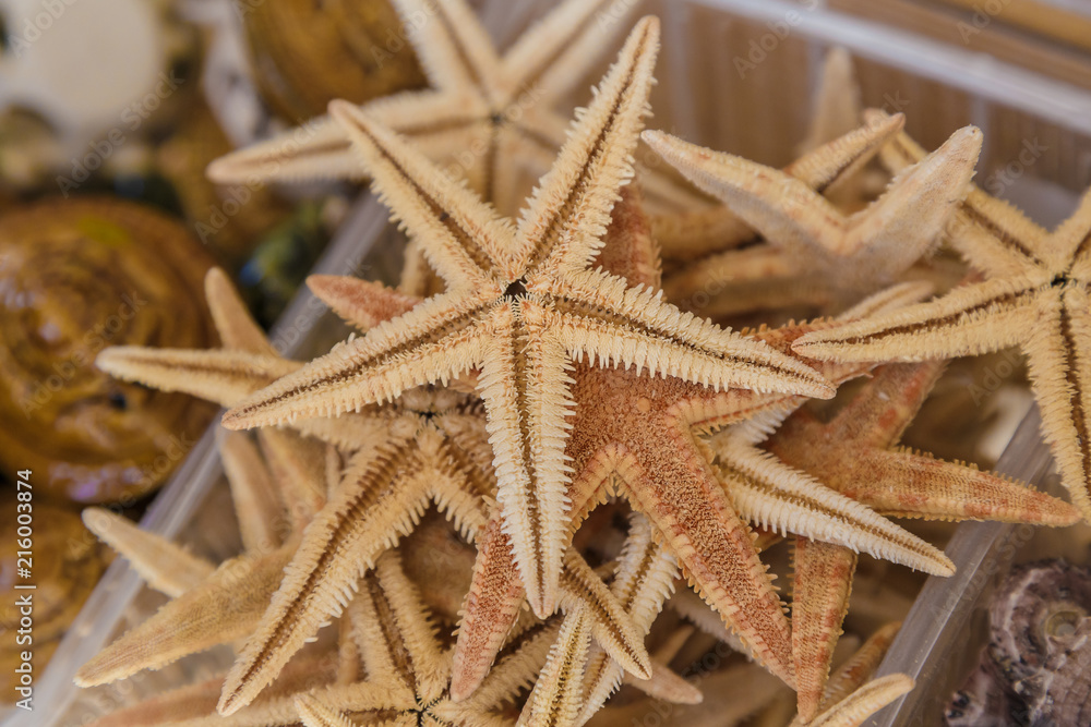 Dry starfish on the counter in the store. Dry starfish on the counter in the store.