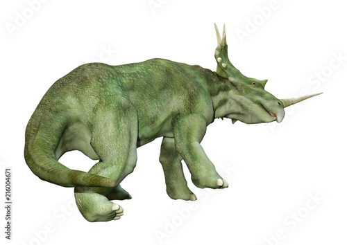 3D Rendering Dinosaur Styracosaurus  on White