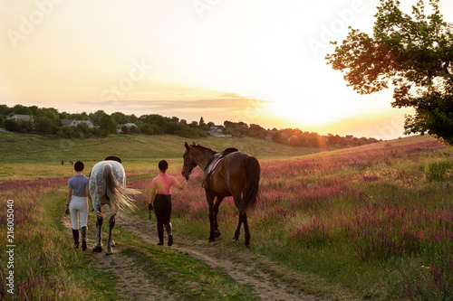Quadro em tela Two woman and two horses outdoor in summer happy sunset together nature