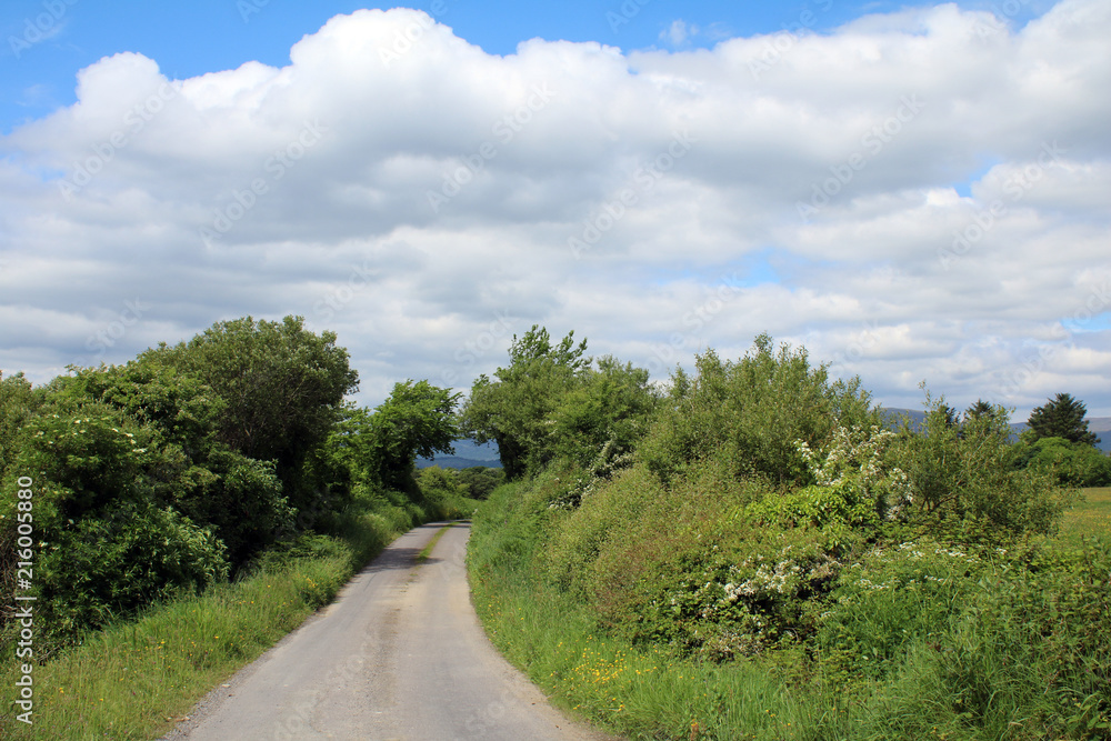 Summer afternoon on Whiddy Island Bantry West Cork ireland Summer afternoon on Whiddy Island Bantry West Cork ireland