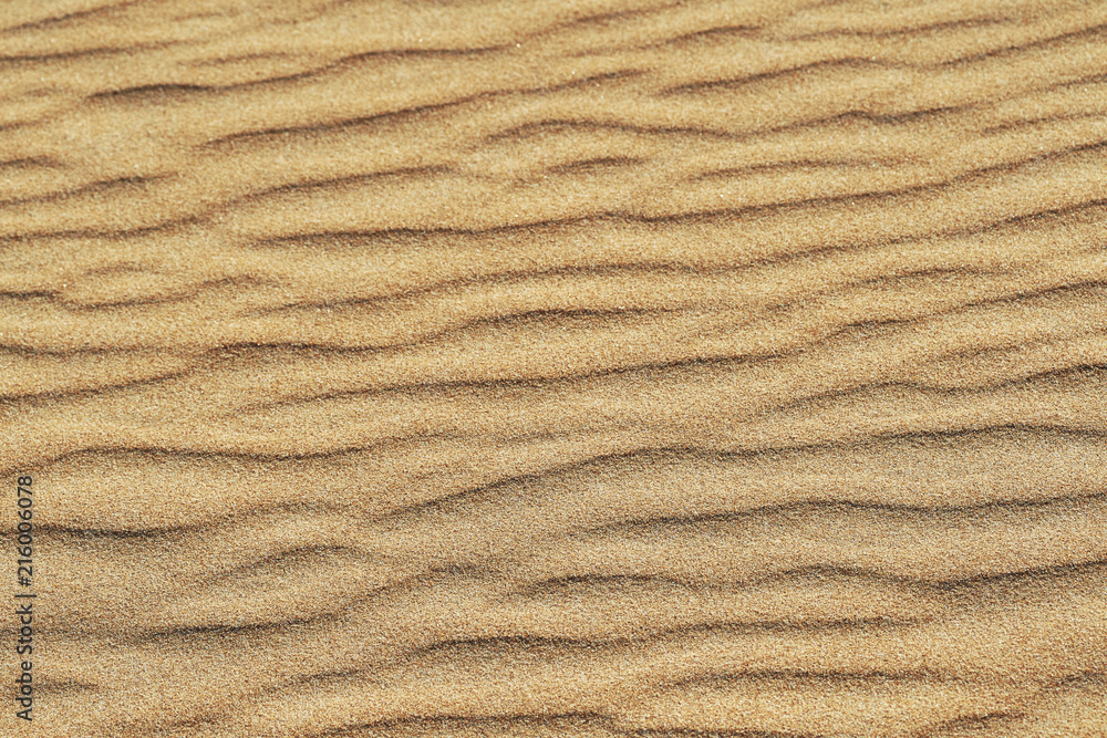 Pattern of golden sand on a beach in the summer. The textured surface of sand on the beach after a strong wind in the form of waves close up. Ribbed sand texture Pattern of golden sand on a beach in the summer. The textured surface of sand on the beach after a strong wind in the form of waves close up. Ribbed sand texture