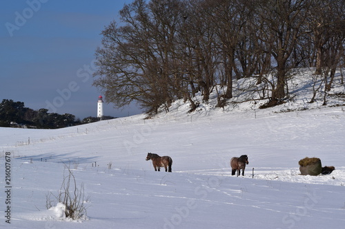 Winterblick mit Pferd und Leuchtturm