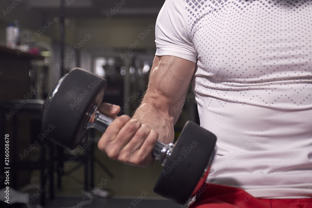 close up of muscular strong arm, bicep muscle, one man holding dumbbell. close up of muscular strong arm, bicep muscle, one man holding dumbbell.