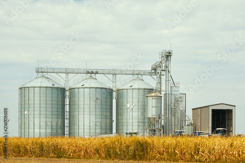 Landscape. Bright nature. Elevator. Large aluminum containers for storing cereals against the blue sky and voluminous clouds. A field of golden ripe wheat. Harvest season