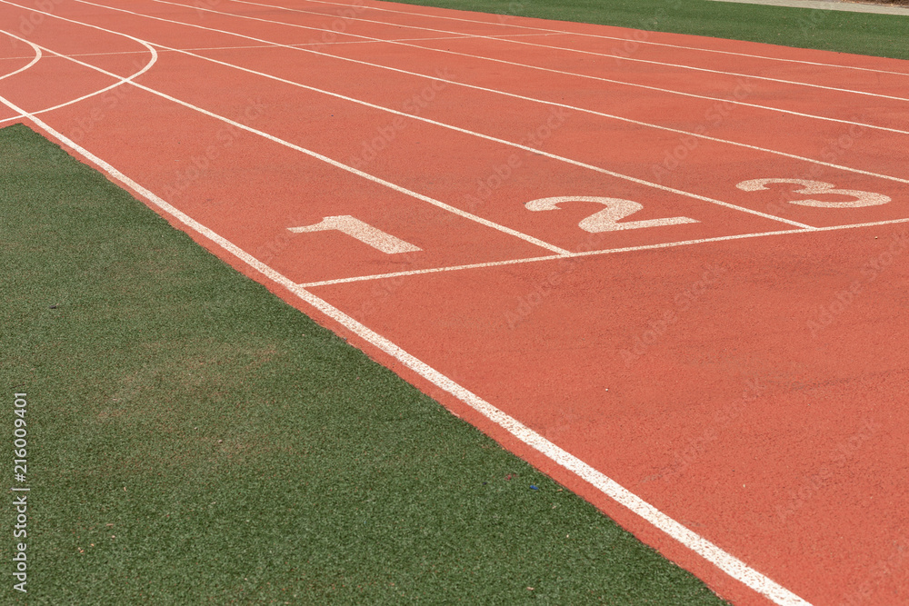 Fototapeta premium Grass soccer field and track