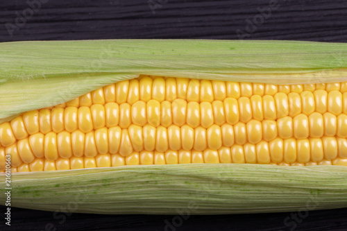 corn in the cob close-up