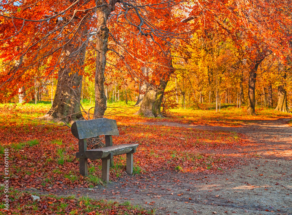 Nice park with bench in autumn Nice park with bench in autumn