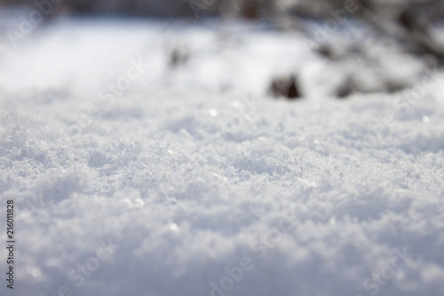 Schnee Closeup 1