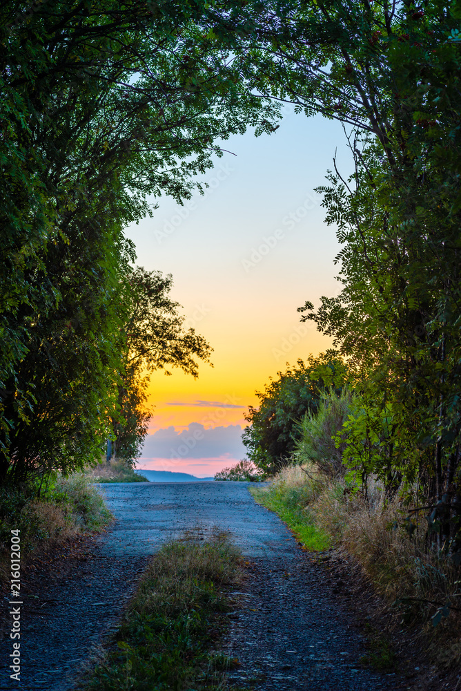Magical path at sunset in summer
High dynamic gives the scenery an enchanted atmosphere.
