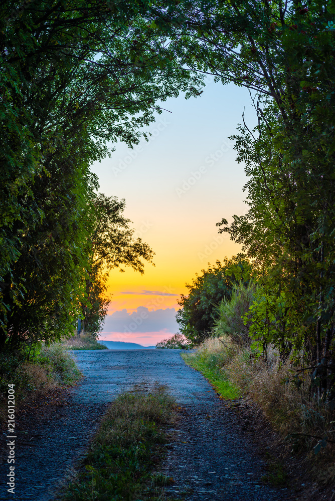 Magical path at sunset in summer
High dynamic gives the scenery an enchanted atmosphere.
Magical path at sunset in summer
High dynamic gives the scenery an enchanted atmosphere.