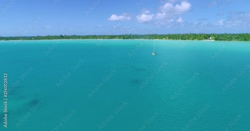 coral in aerial view in the pacific coral in aerial view in the pacific
