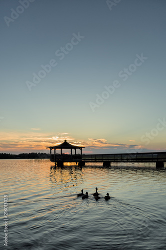Gazebo in Lake with Mallard Ducks in Water © Emmoth