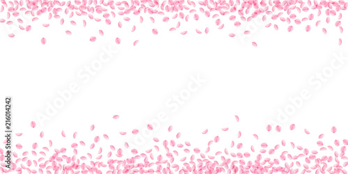 Sakura petals falling down. Romantic pink silky small flowers. Thick flying cherry petals. Wide scat